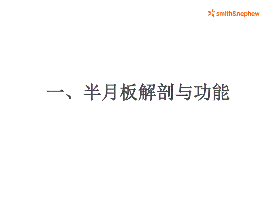 施乐辉半月板缝合讲解_第2页