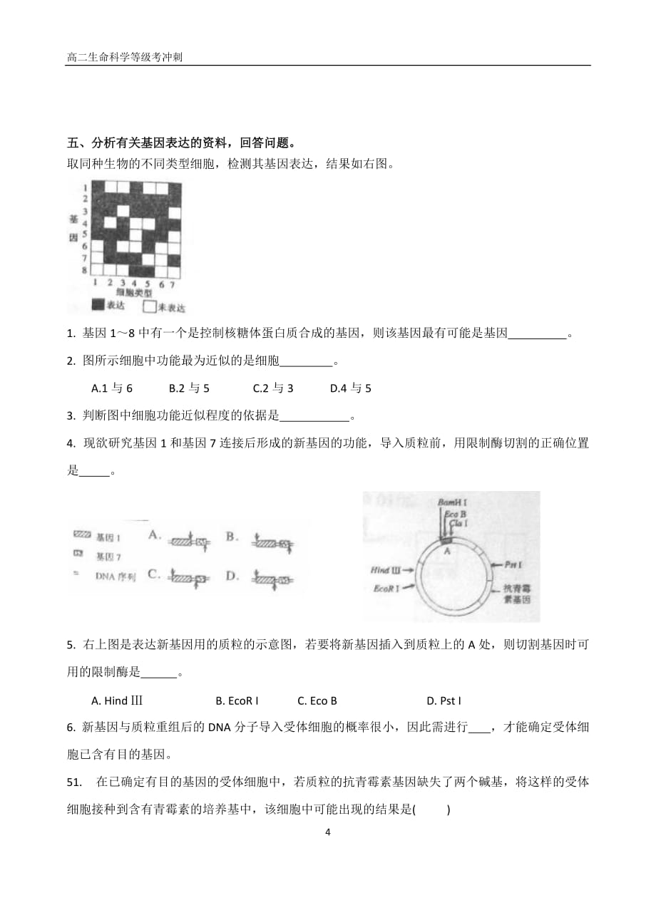 高考生物专题《基因工程》_第4页