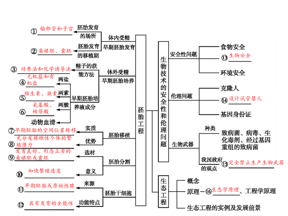 赢在高考2016生物二轮课件：专题92胚胎工程、生态工程及生物技术的安全性与伦理问题_第3页