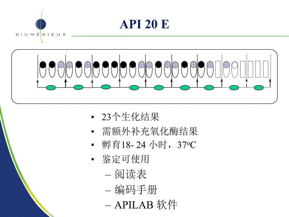 医学检验_微生物api板条简介与原理_第5页