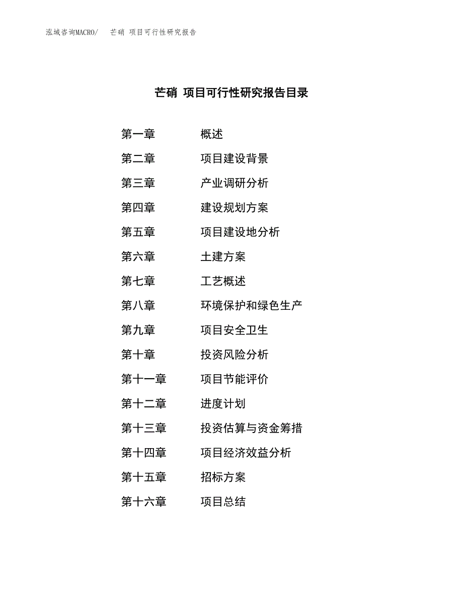 芒硝 项目可行性研究报告（总投资11000万元）（39亩）_第2页