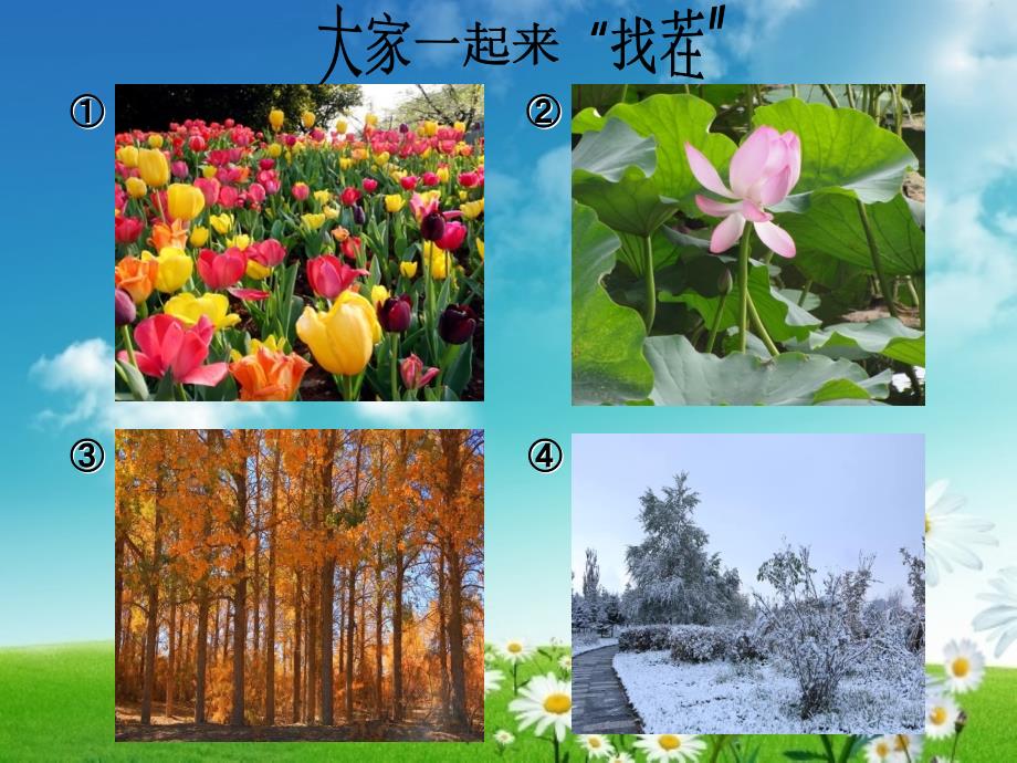 五年级美术上册《画画美丽的自然景色》PPT课件剖析_第3页