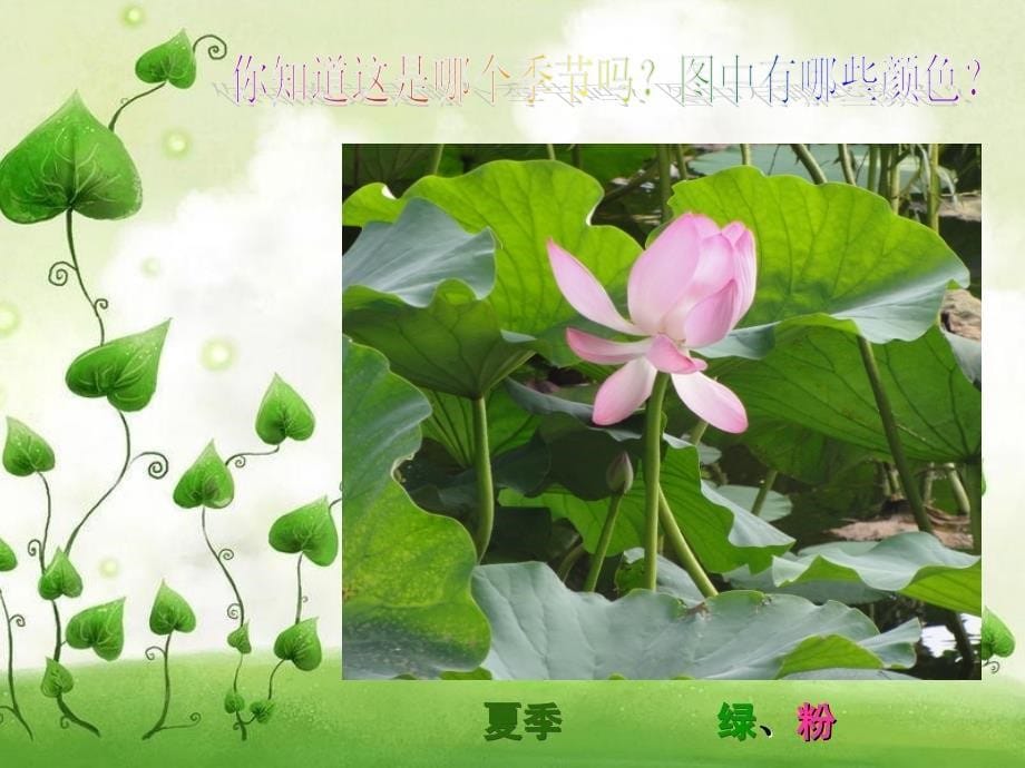 五年级美术上册《画画美丽的自然景色》PPT课件剖析_第5页