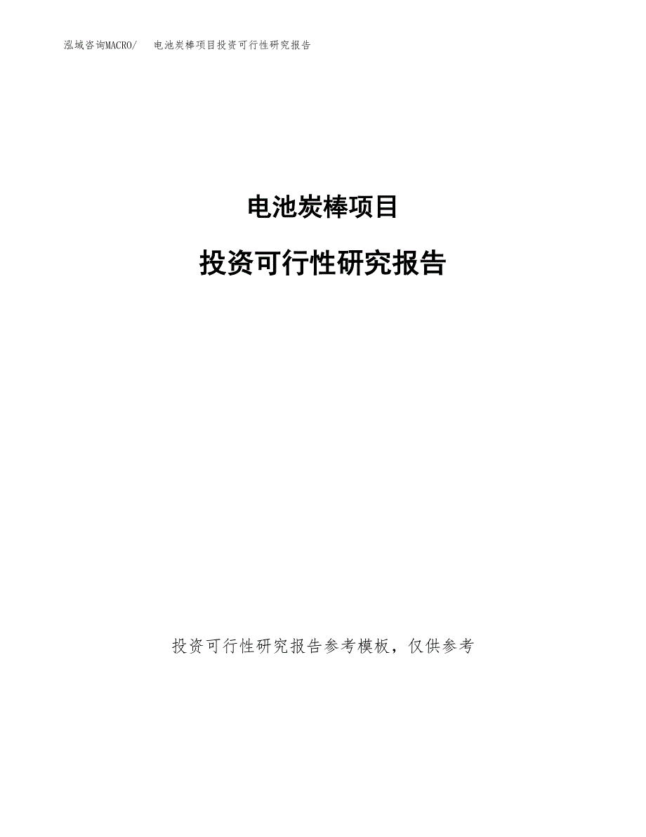 电池炭棒项目投资可行性研究报告.docx_第1页