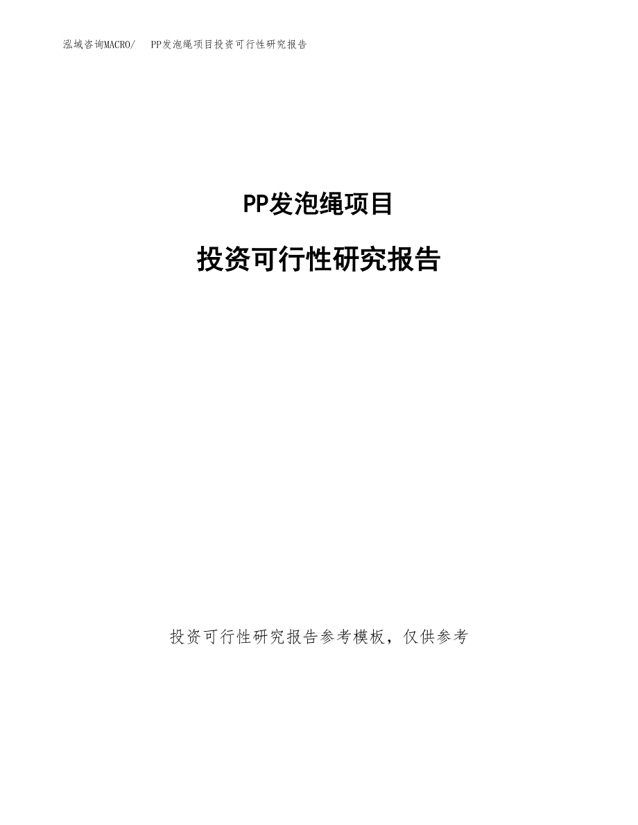 PP发泡绳项目投资可行性研究报告.docx_第1页