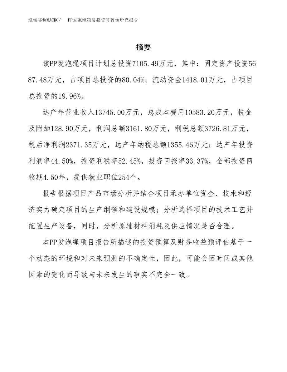 PP发泡绳项目投资可行性研究报告.docx_第2页