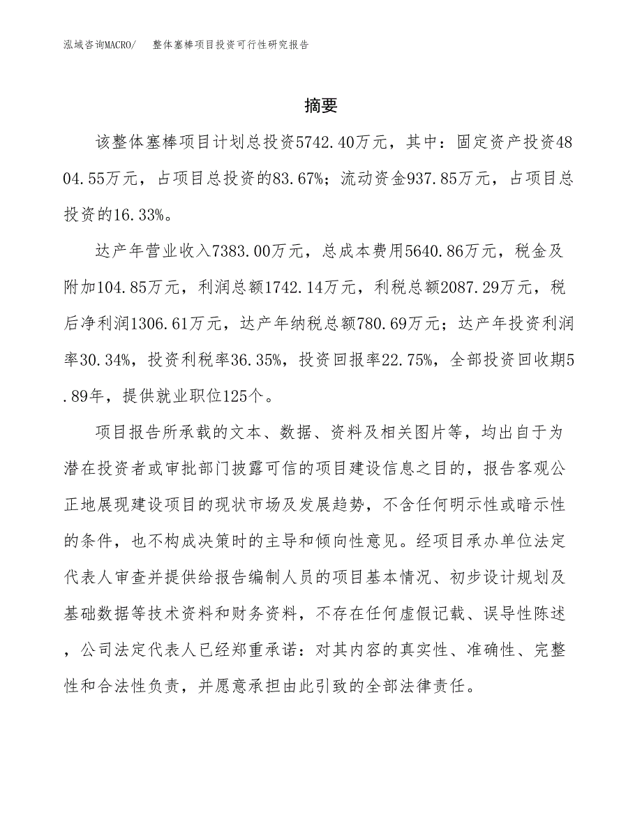 整体塞棒项目投资可行性研究报告.docx_第2页