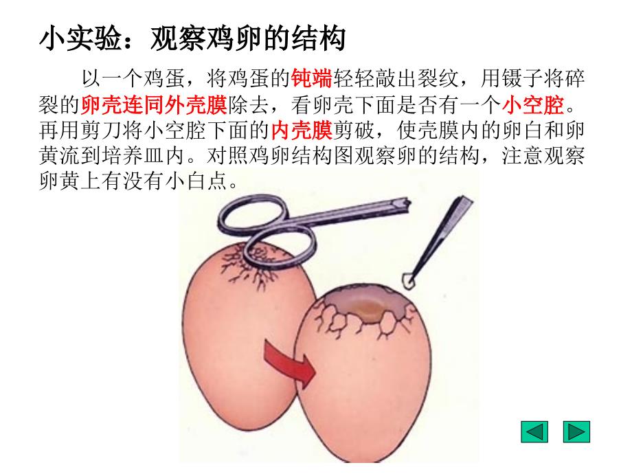 七单元一四鸟的生殖和发育_第2页