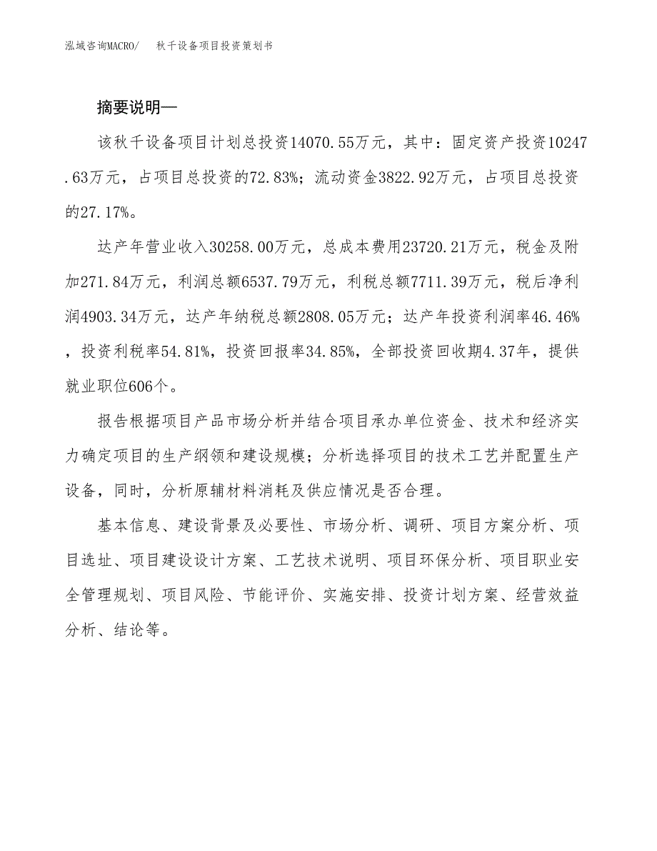 秋千设备项目投资策划书.docx_第2页