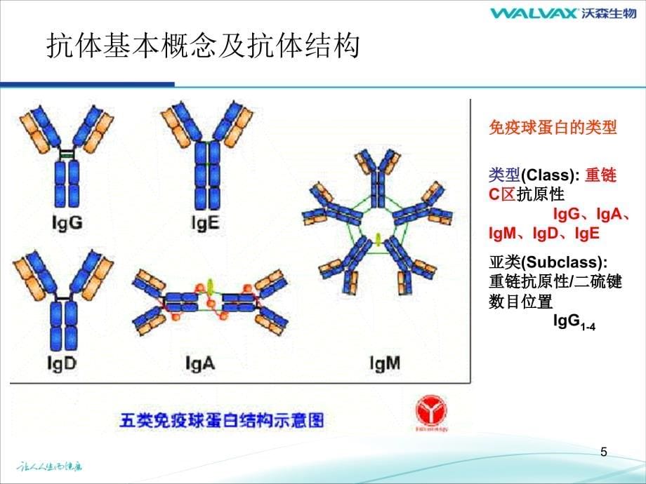 细胞培养基础知识教材_第5页