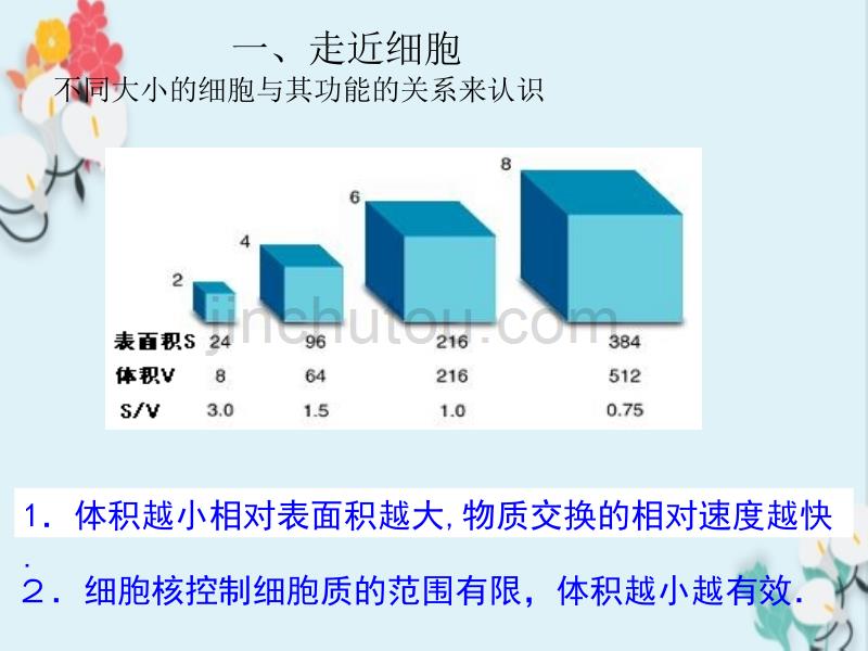 细胞结构和功能相统一_第2页