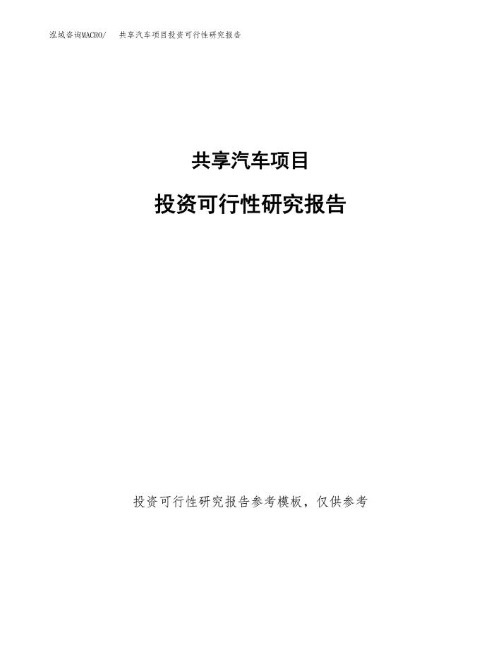 共享汽车项目投资可行性研究报告.docx