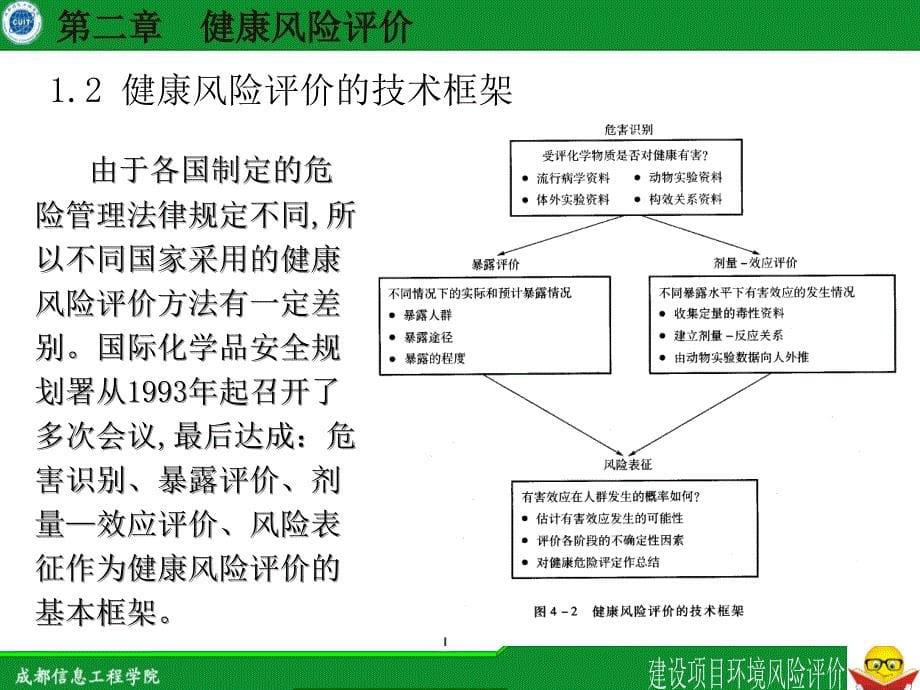 健康风险评价教材_第5页