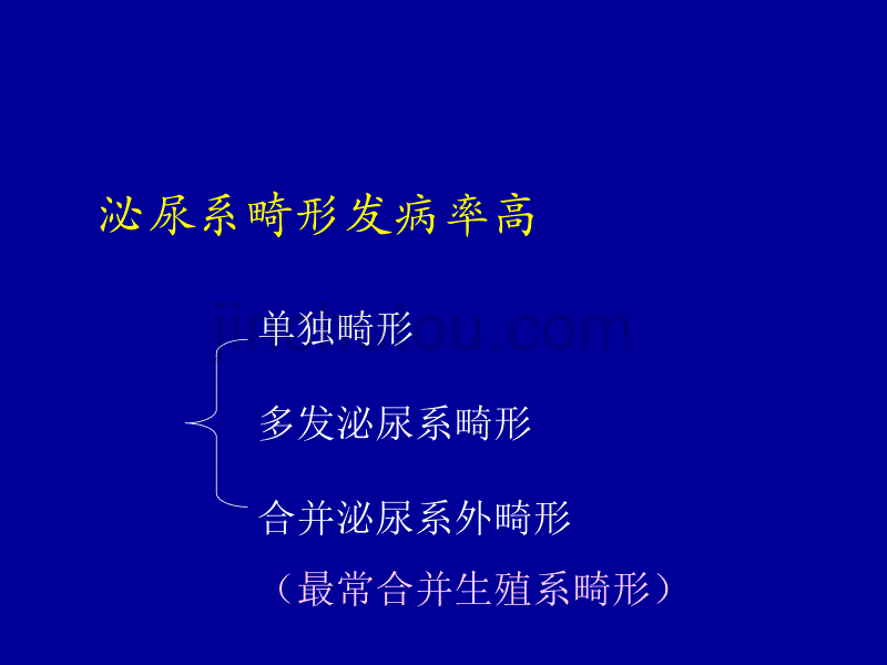 肾脏先天发育异常影像学诊断模板_第2页