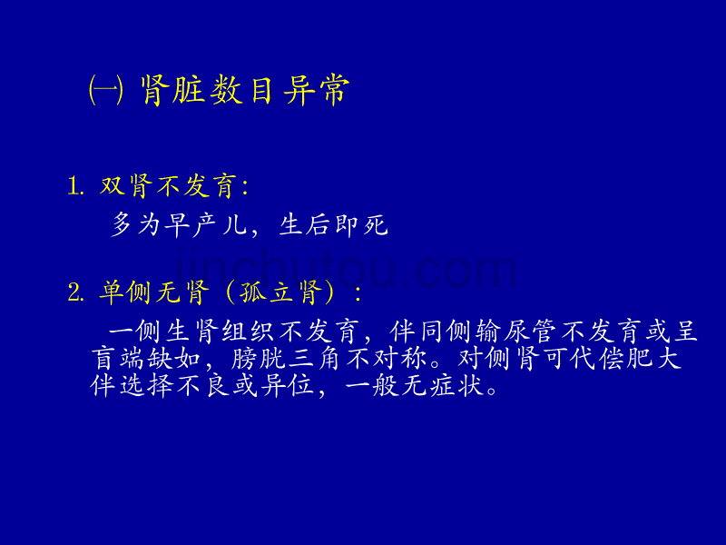 肾脏先天发育异常影像学诊断模板_第4页