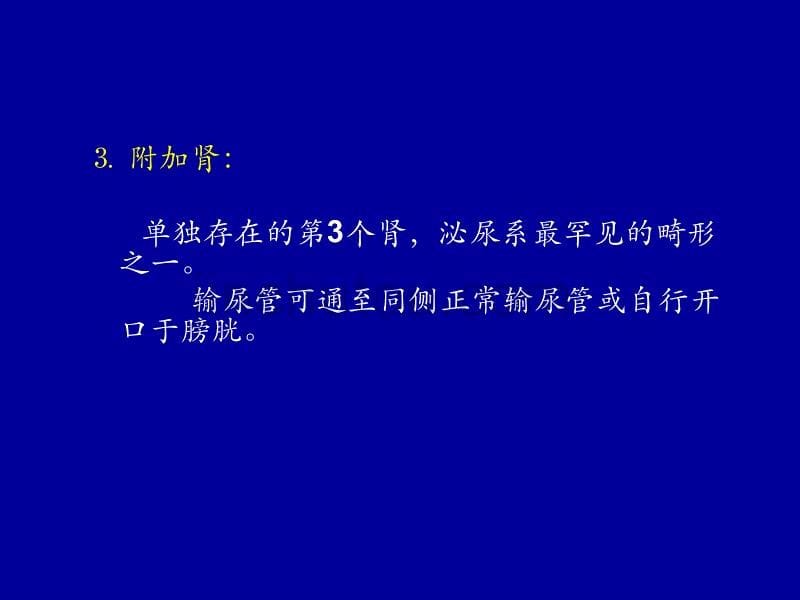 肾脏先天发育异常影像学诊断模板_第5页