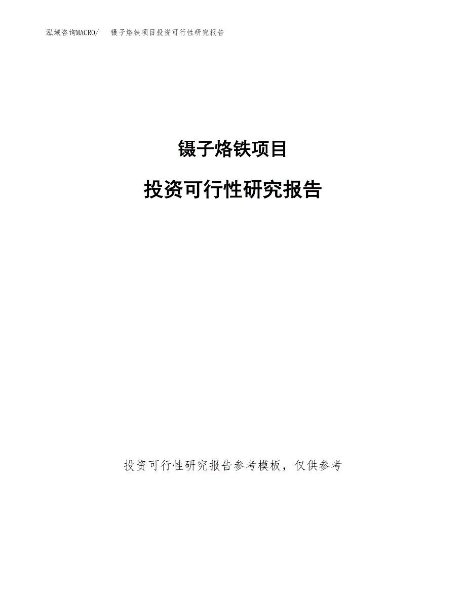 镊子烙铁项目投资可行性研究报告.docx_第1页