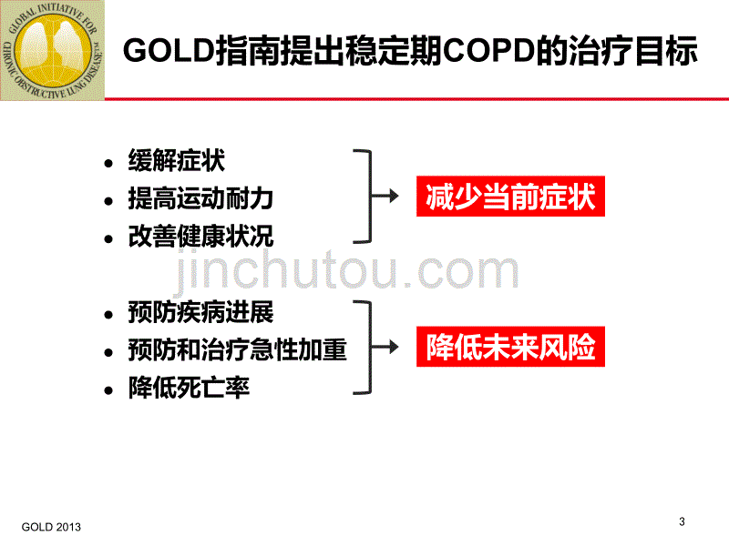 中国优化COPD治疗的思考-Final剖析_第3页
