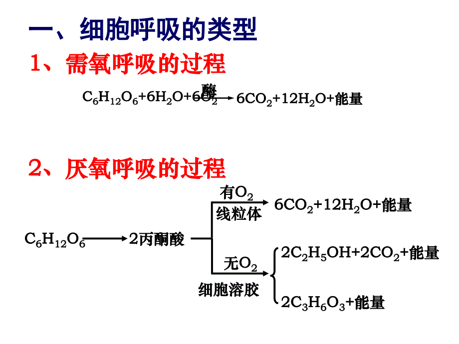 细胞呼吸和液滴移动问题讲解_第2页