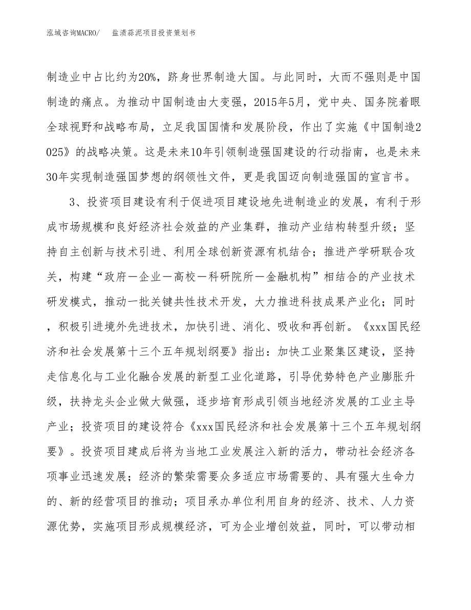 盐渍蒜泥项目投资策划书.docx_第5页