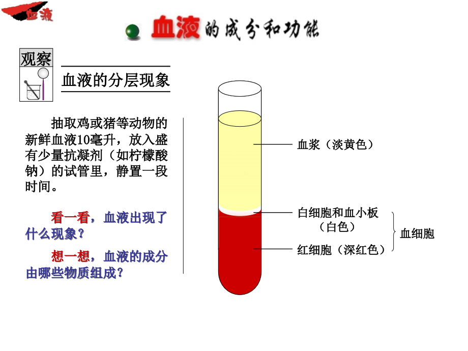 一血液和血型(一课时)_第3页