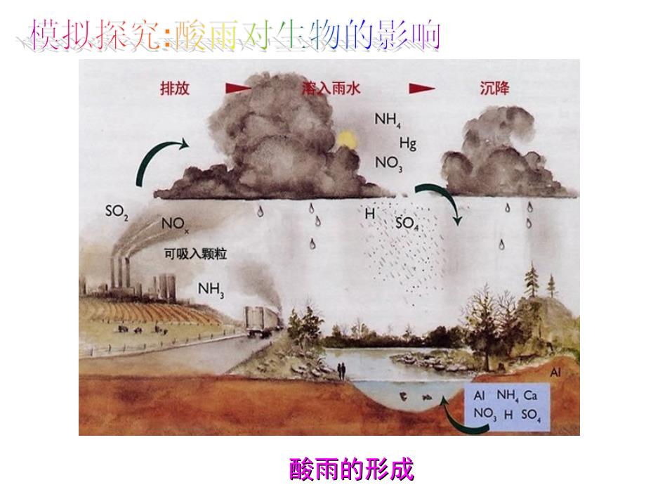 七年级生物二探究环境污染对生物的影响人教版_第3页