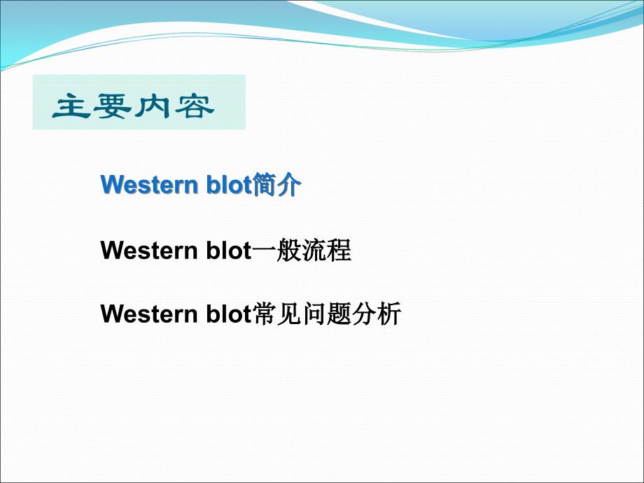 免疫印迹法_第2页