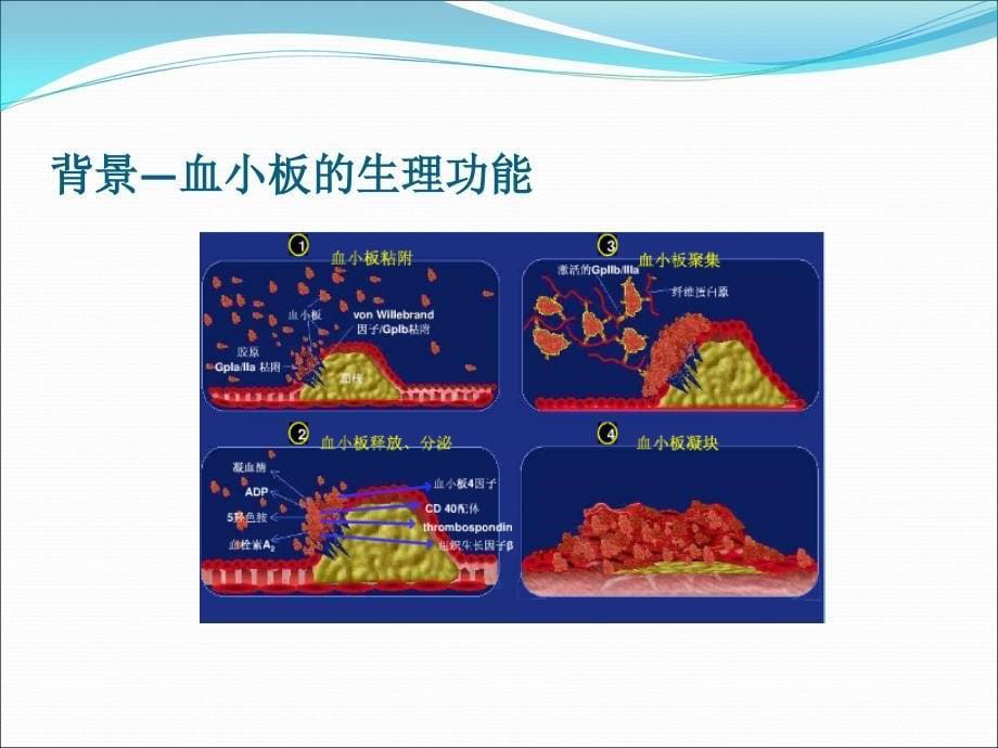 抗血小板药与内镜治疗1031汇编_第5页