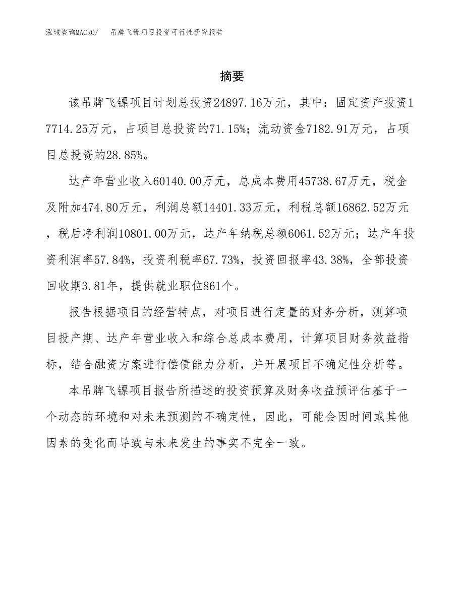 吊牌飞镖项目投资可行性研究报告.docx_第2页