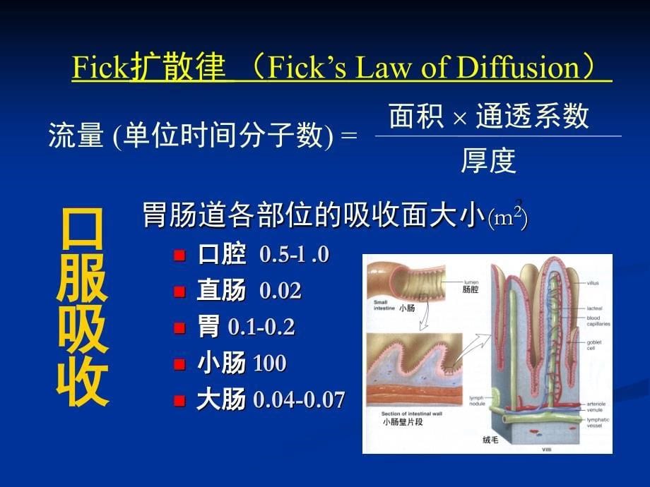 三中药药动学_第5页