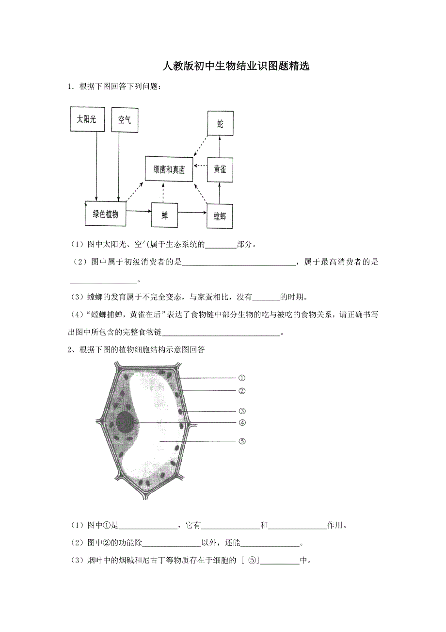 人教版初中生物识图专题(整理版)._第1页