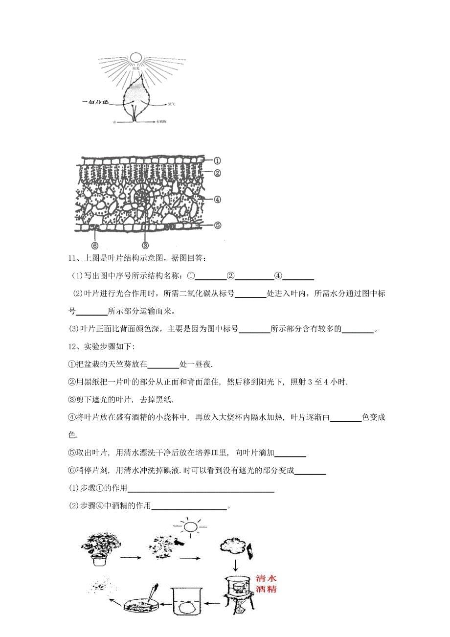 人教版初中生物识图专题(整理版)._第5页