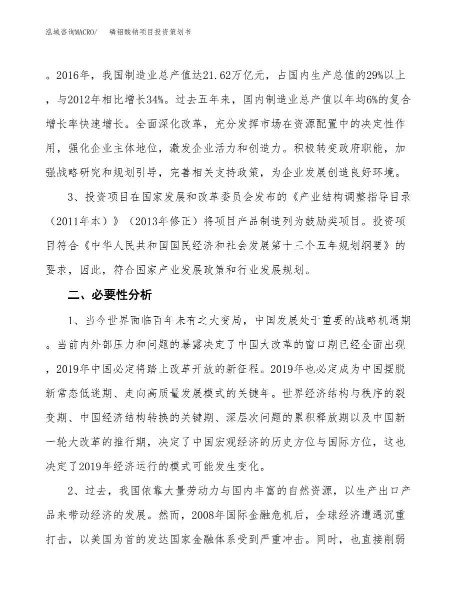 磷钼酸钠项目投资策划书.docx_第5页