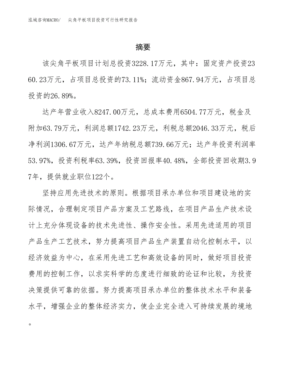 尖角平板项目投资可行性研究报告.docx_第2页