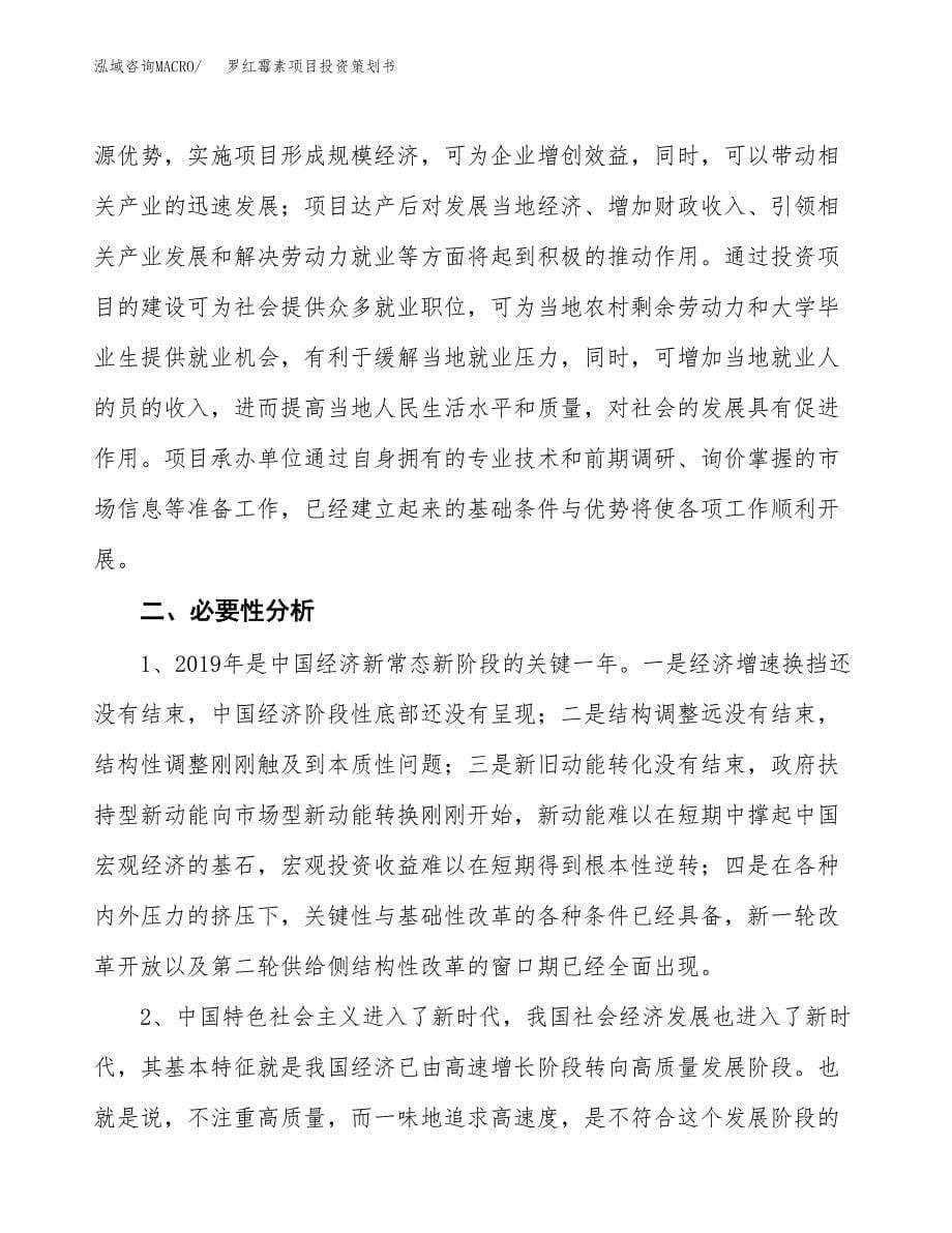 罗红霉素项目投资策划书.docx_第5页