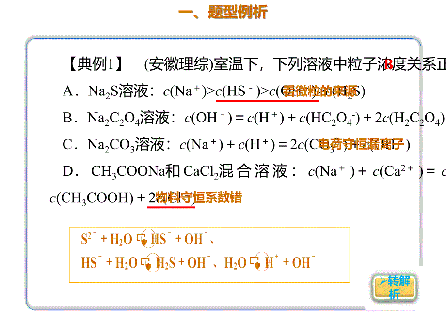 2020年高考化学一轮复习考点《指导1　单一溶液中离子浓度关系》_第2页