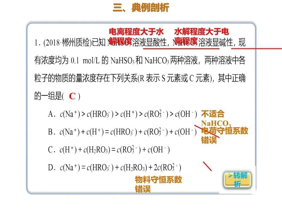 2020年高考化学一轮复习考点《指导1　单一溶液中离子浓度关系》_第5页