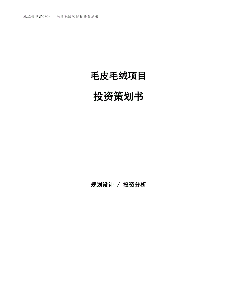 毛皮毛绒项目投资策划书.docx_第1页