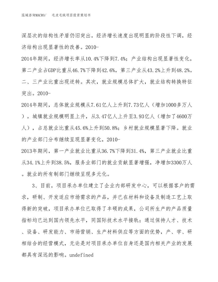 毛皮毛绒项目投资策划书.docx_第5页