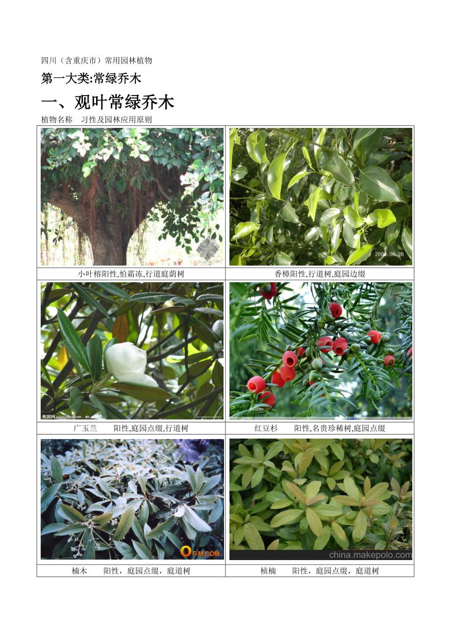 四川常见园林植物剖析_第1页