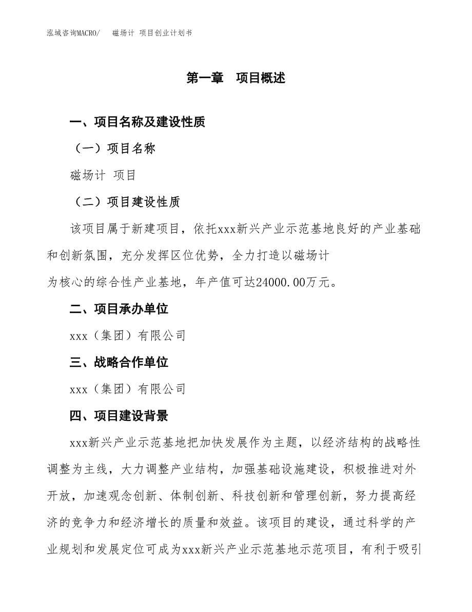 磁场计 项目创业计划书.docx_第5页