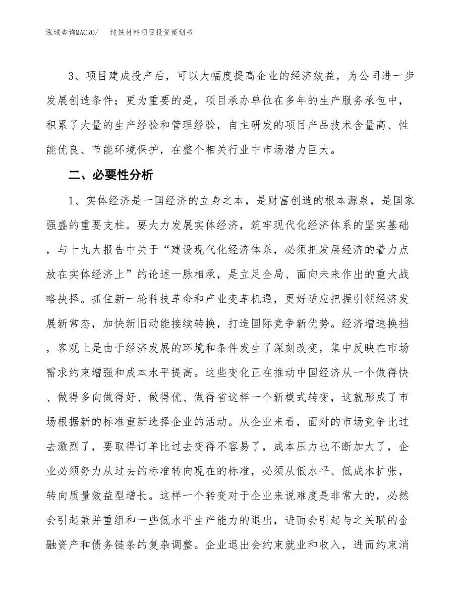 纯铁材料项目投资策划书.docx_第5页