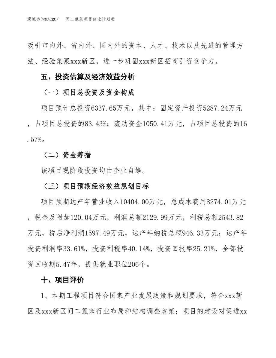 间二氯苯项目创业计划书.docx_第5页