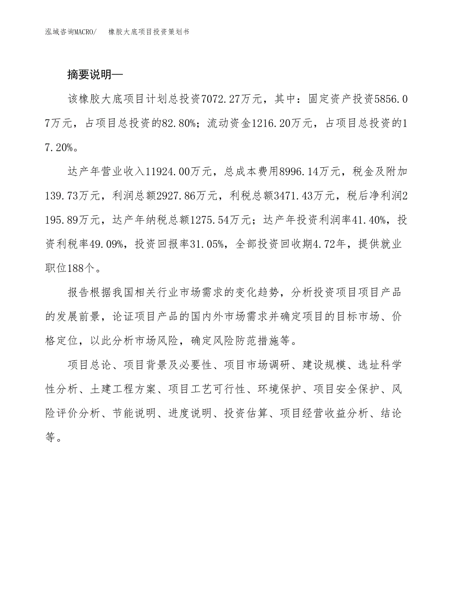 橡胶大底项目投资策划书.docx_第2页