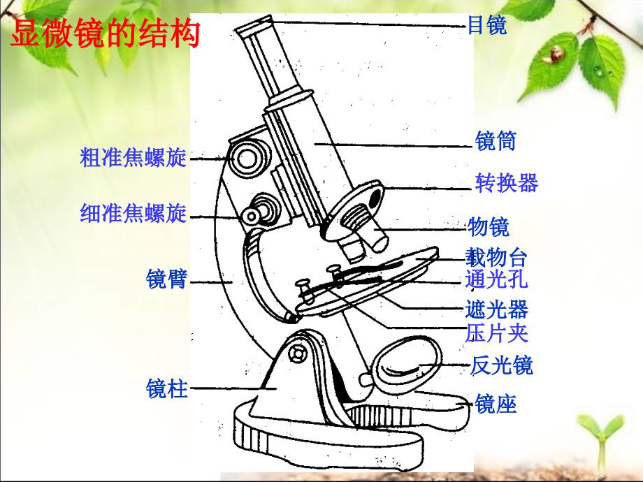 开启生物科学之门复习课件_第2页