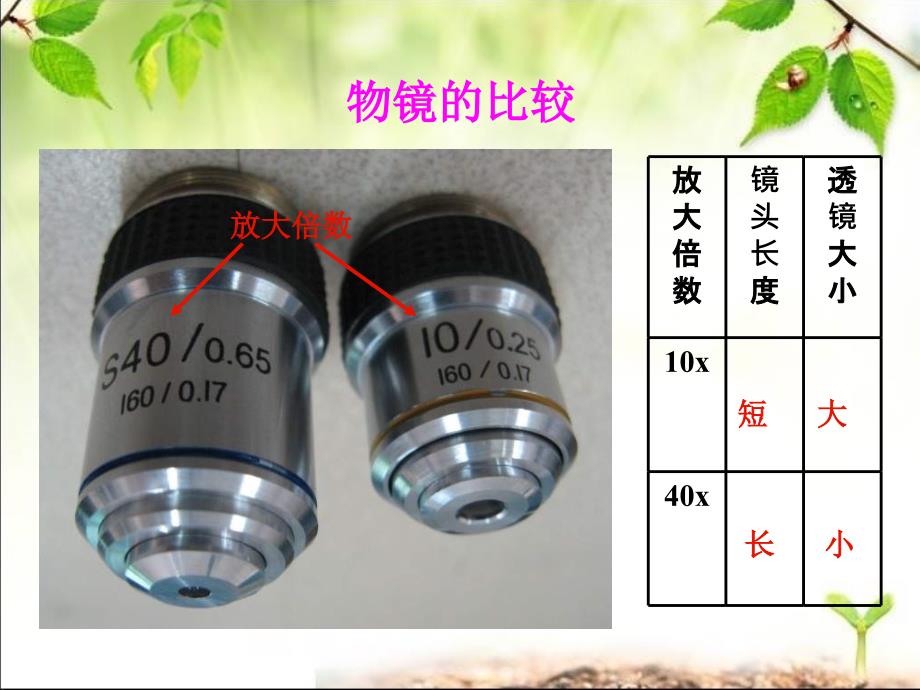 开启生物科学之门复习课件_第4页