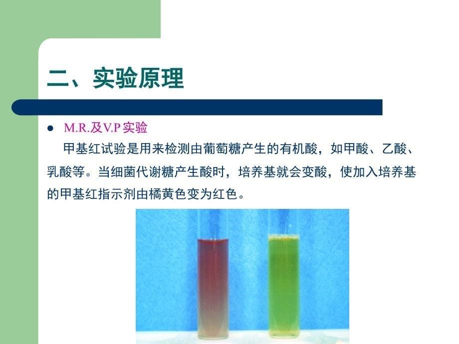 细菌鉴定中常用的生化实验讲解_第5页