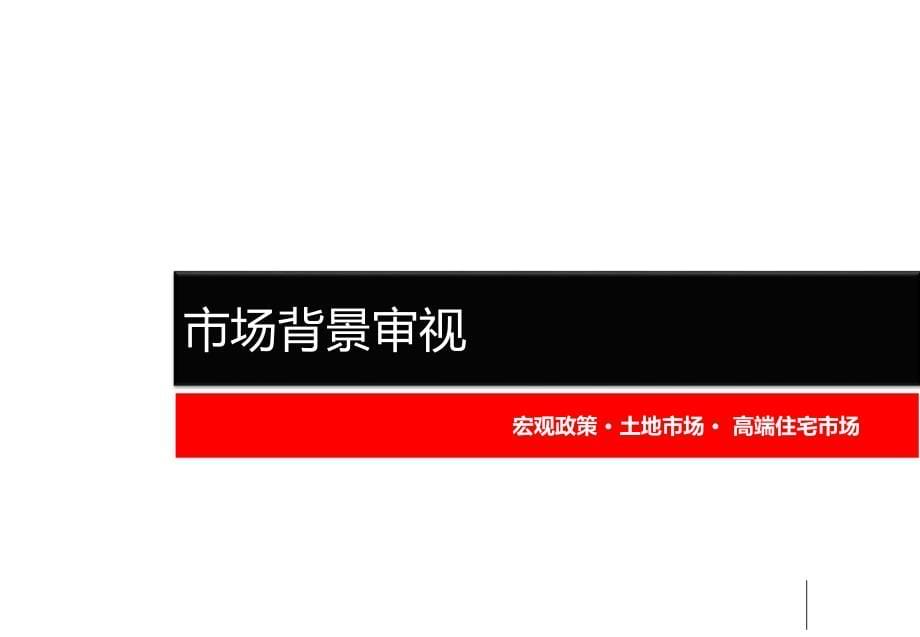 房地产营销策划实施计划方案_第5页