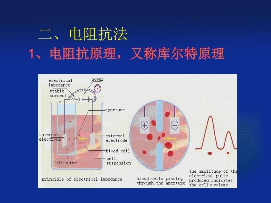 血液分析仪教材_第5页