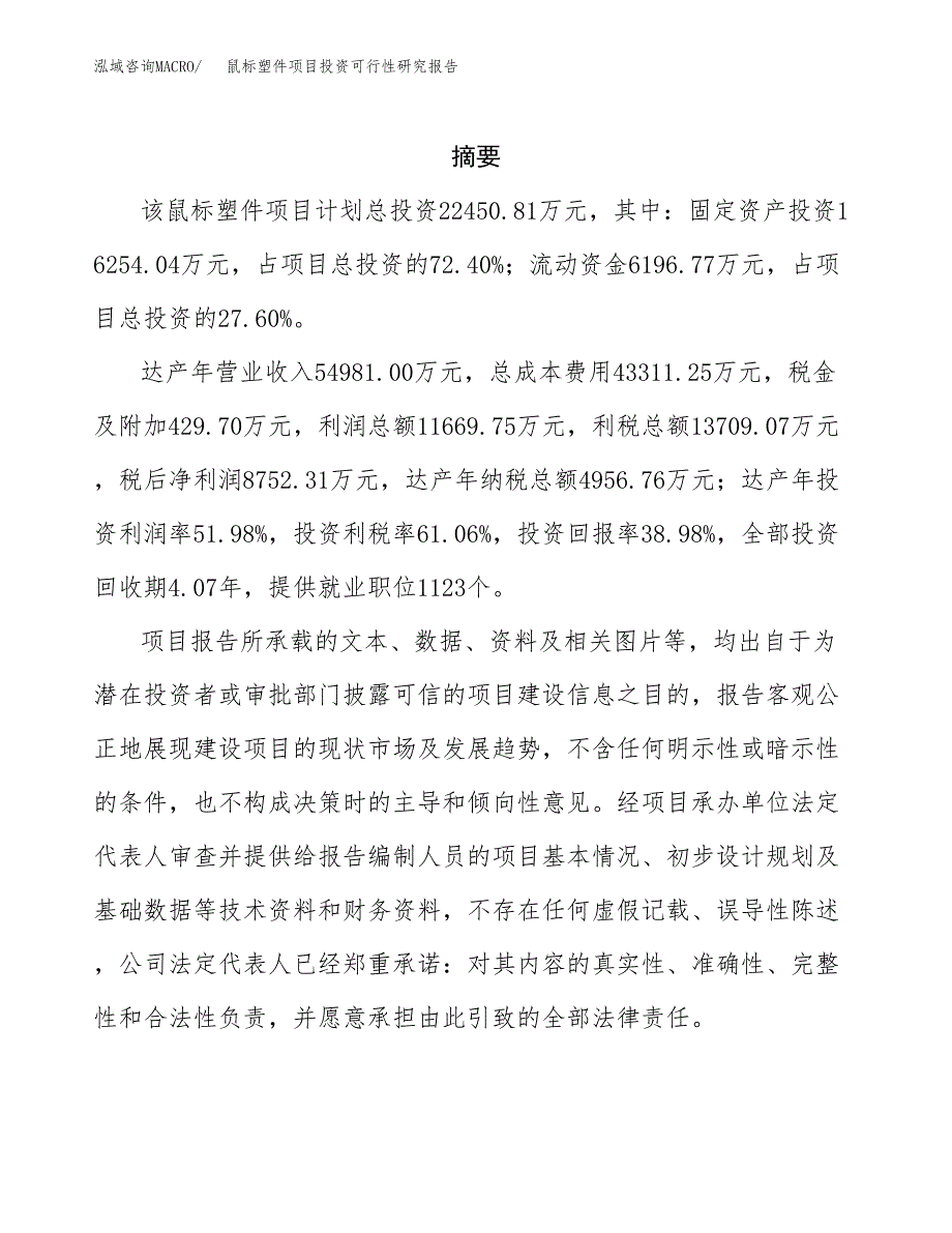 鼠标塑件项目投资可行性研究报告.docx_第2页